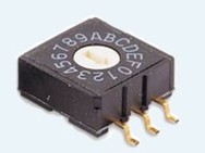 RM Rotary Code Switch SMT