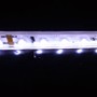 VarioLED Flex White Sideview IP67