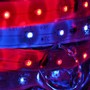 VarioLED Flex RGB S IP67