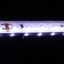 VarioLED Flex Weiss Sideview IP67